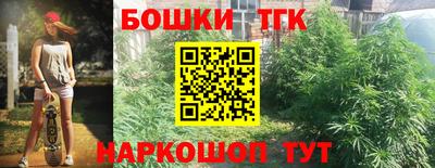 a pvp Бийск