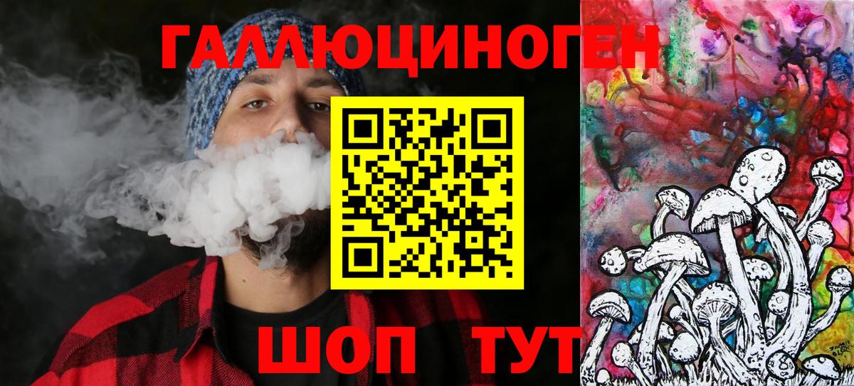 Галлюциногенные грибы Psilocybe  Берёзовский 