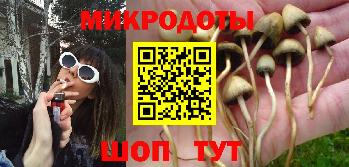 Галлюциногенные грибы мицелий  Галлюциногенные грибы Cubensis  Вход с VPN  Берёзовский 