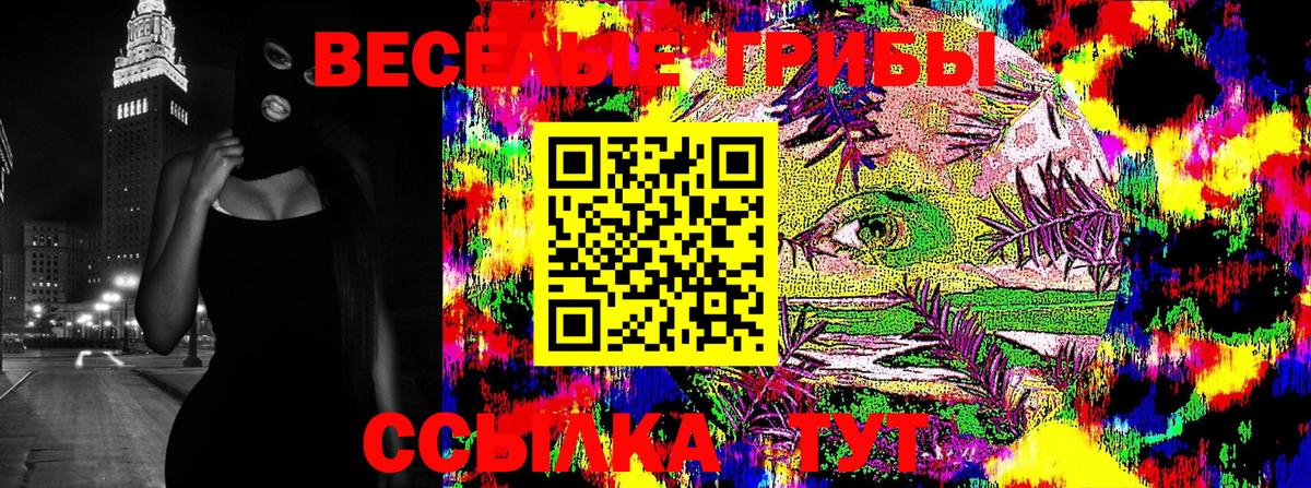 Псилоцибиновые грибы Psilocybe Берёзовский